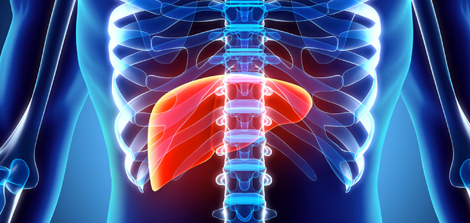 Cheap and Affordable Liver Transplant in India, Best Hospitals for Liver Transplant in India, Best Doctors for Liver Transplant in India , Medkaizen Global, Apollo Hospitals, Fortis Hospitals, Max Hospitals, Artemis Hospitals, Medanta Hospitals, Manipal Hospitals, Hospitals for Medical Tourism in India, Hospital for Medical Treatment in India, Hospitals for Surgery in India, Medical Tourism in India, Medical Treatment in India, Surgery in India, Medical Tourism Company