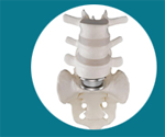 Cheap and Affordable Spine Surgery in India, Best Hospitals for Spine Surgery in India, Best Doctors for Spine Surgery in India , Medkaizen Global, Apollo Hospitals, Fortis Hospitals, Max Hospitals, Artemis Hospitals, Medanta Hospitals, Manipal Hospitals, Hospitals for Medical Tourism in India, Hospital for Medical Treatment in India, Hospitals for Surgery in India, Medical Tourism in India, Medical Treatment in India, Surgery in India, Medical Tourism Company