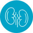 Medical Tourism,Medical Tourism in India, Medical Treatment in India, Surgery in India, Medkaizen Global, Medical Tourism Company,kidney transplant, liver transplant, cancer treatment, heart surgery, open heart surgery, spine surgery, best spine surgery hospital in india, best orthopedic hospital, orthopedic surgery in india