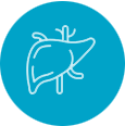 Medical Tourism,Medical Tourism in India, Medical Treatment in India, Surgery in India, Medkaizen Global, Medical Tourism Company,kidney transplant, liver transplant, cancer treatment, heart surgery, open heart surgery, spine surgery, best spine surgery hospital in india, best orthopedic hospital, orthopedic surgery in india